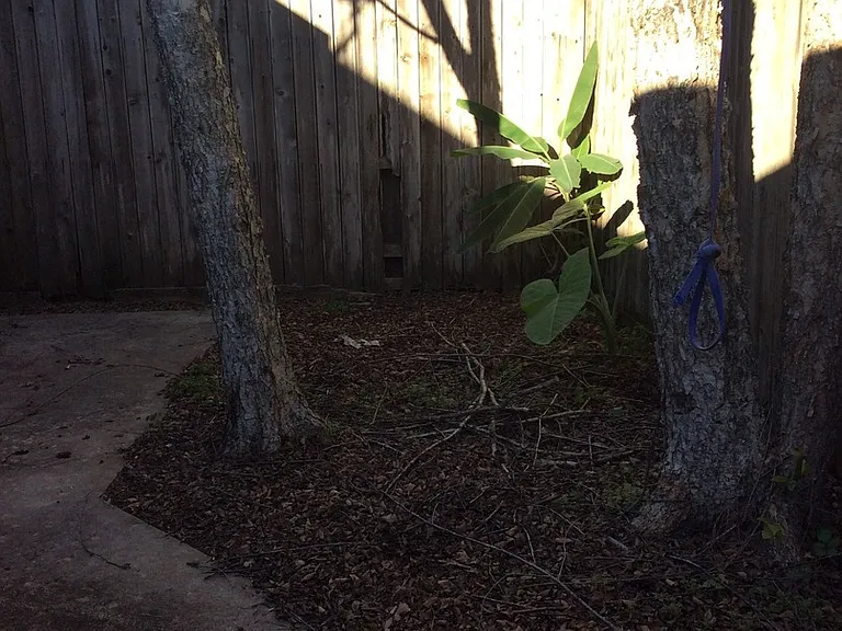 8277 Bayou Fountain Ave — Photo 12