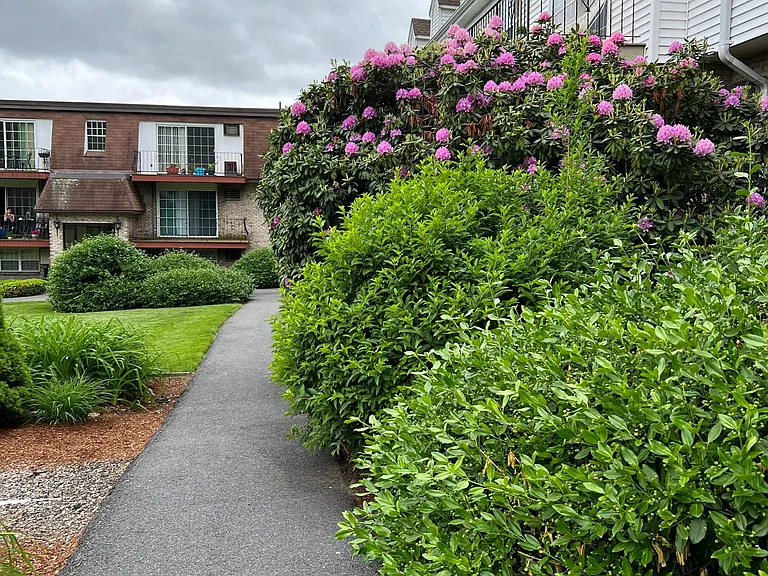 Walkway to the building