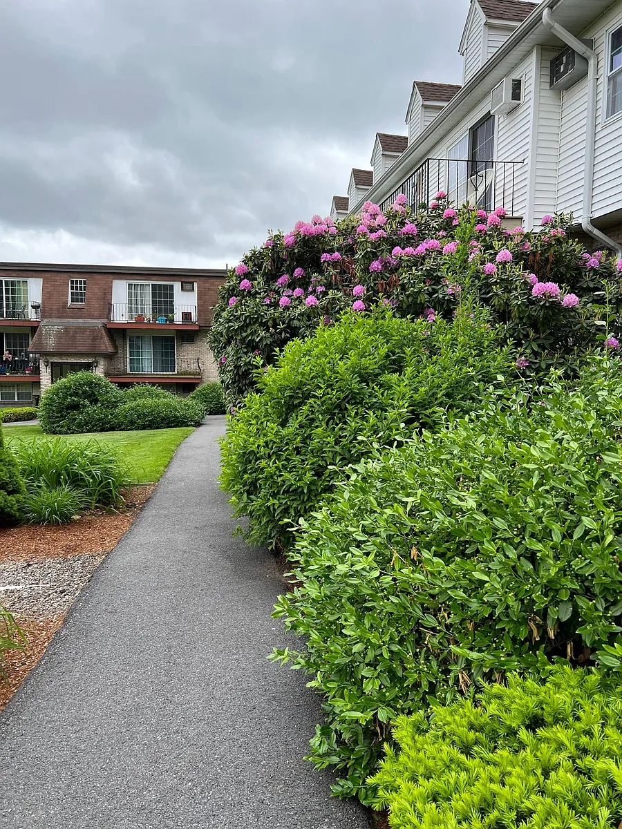 Walkway to the building - 2 Williamsburg Ct #11