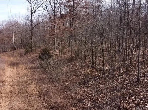 Mistwood Hollow Dr, Camdenton, MO 65020
