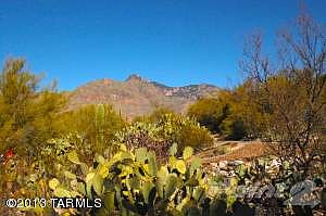 Tranquil views of Catalinas
