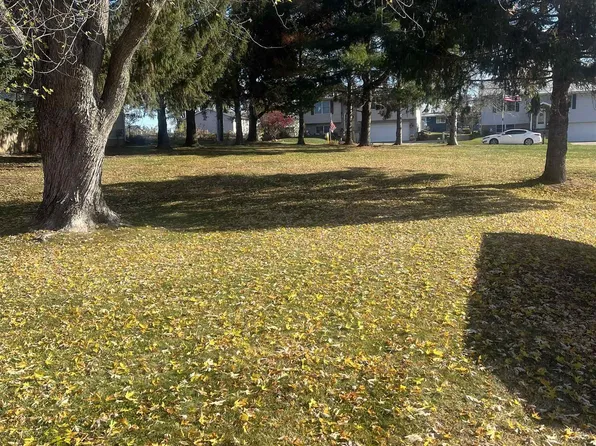 Conrad Ave, East Dubuque, IL 61025