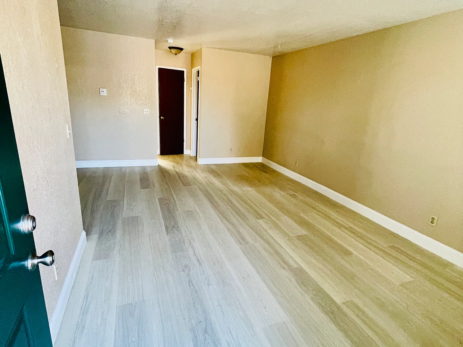1 bed, 645 sqft, $1,145 — Photo 3