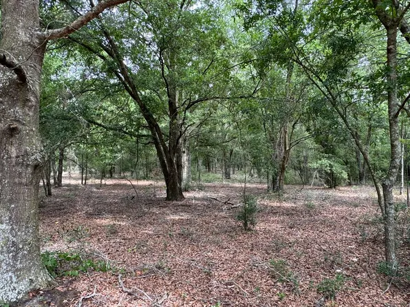 18602 101st Pl, Mc Alpin, FL 32062