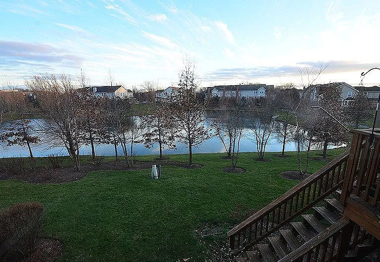 Pond view