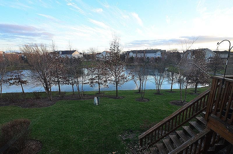 Pond view