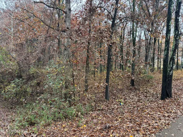 Alexander Rd, Olive Branch, MS 38654