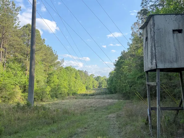 Titus Stewart Rd, Hattiesburg, MS 39401