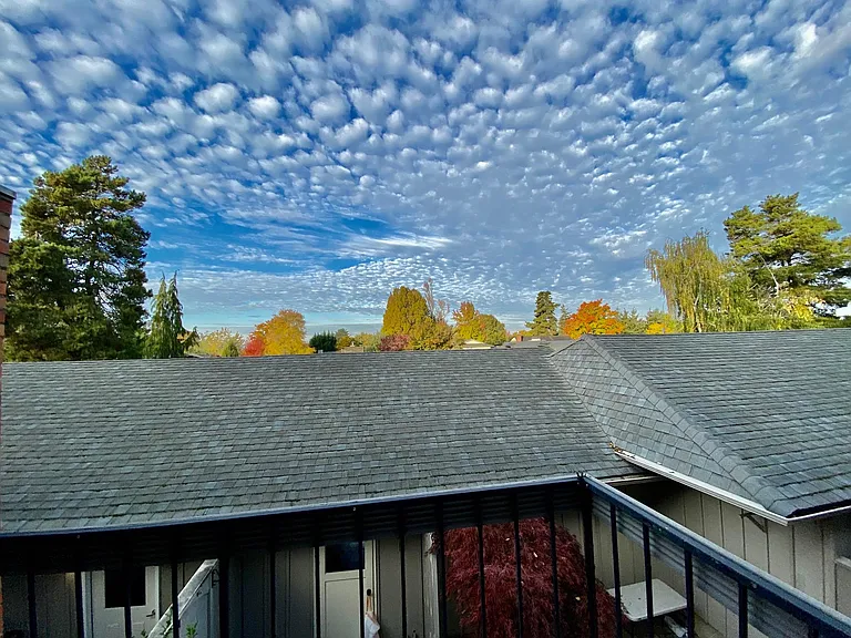 West-facing view from Bedroom #2