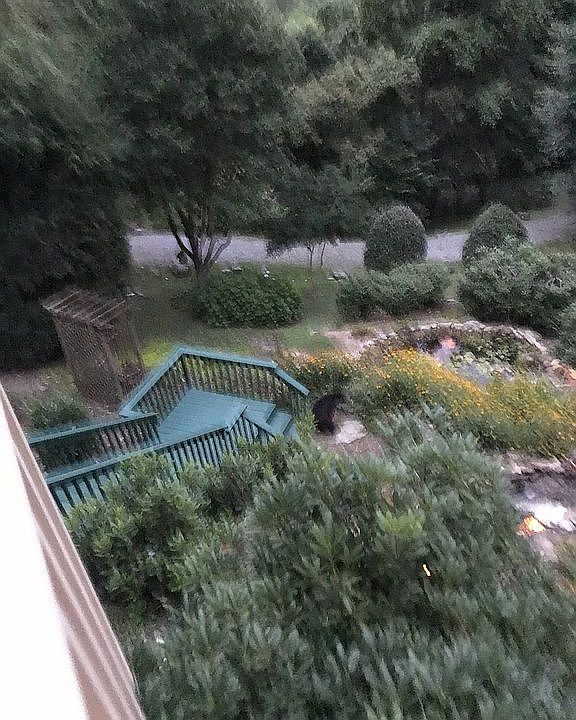 2nd image of 268 Greenleaf Dr