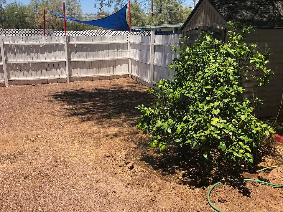 Back yard with metal shed for storage