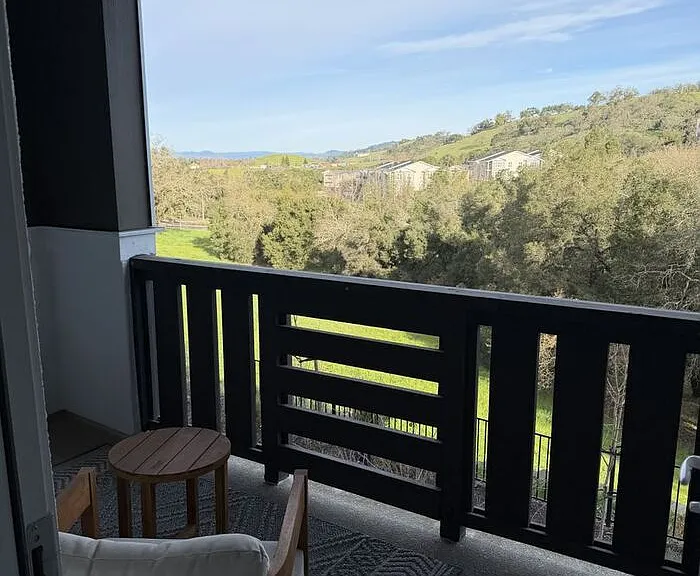 347 Semillon Ln — Photo 39