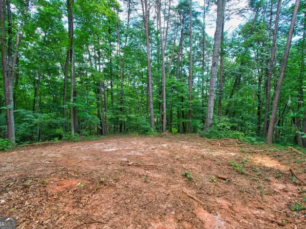 300 Dreamers Ln, Dawsonville, GA 30534