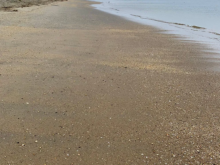 Seadrift Ave — Photo 14