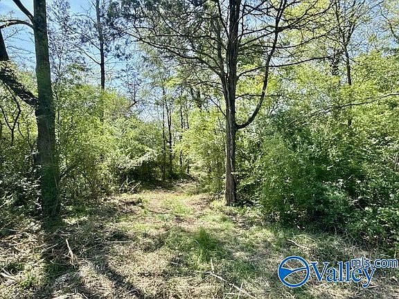 4th image of 4117 Mat Morrow Rd