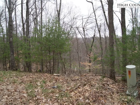 Lot 75 Forest Hill Drive, Sparta, NC 28675