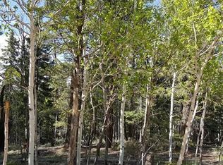 509 Ridge Rd, Divide, CO 80814