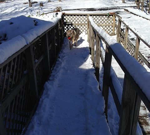 ramp can be removed