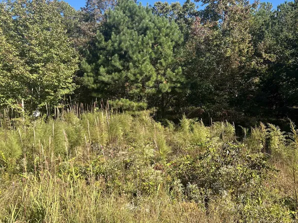 103 Oak Point Dr, Lexington, TN 38351