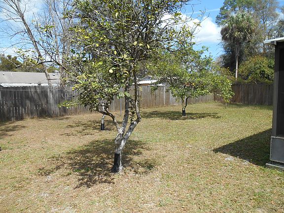 Back yard