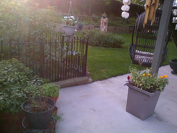 Back Yard Oasis