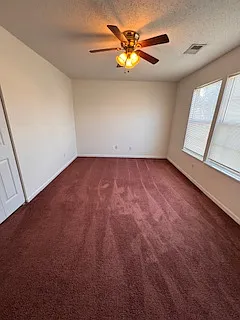 219 Pineclave Cir — Photo 11