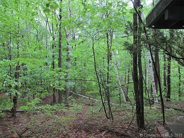2nd image of 163 Hampden Rd