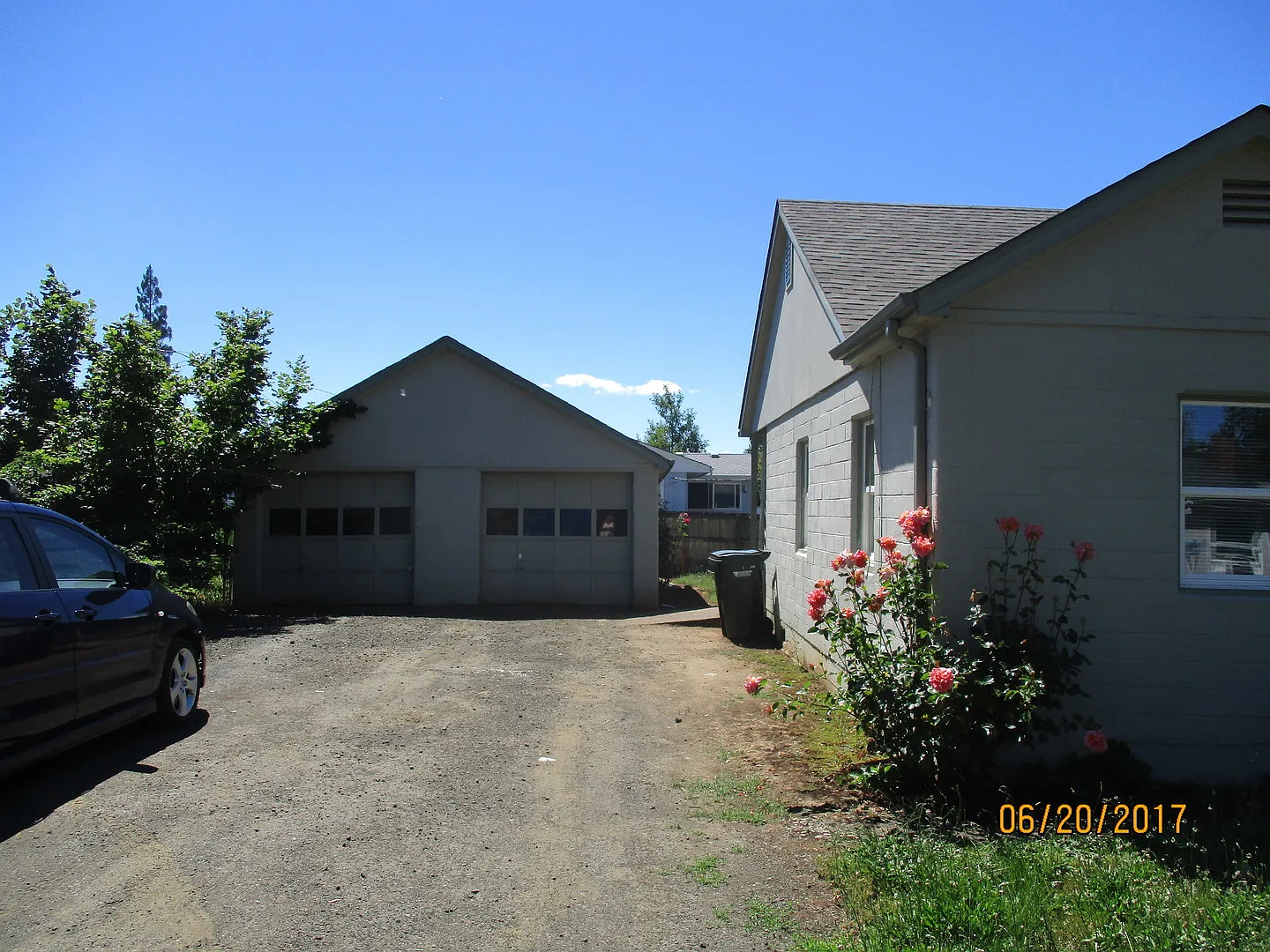 petj442 — Photo 2