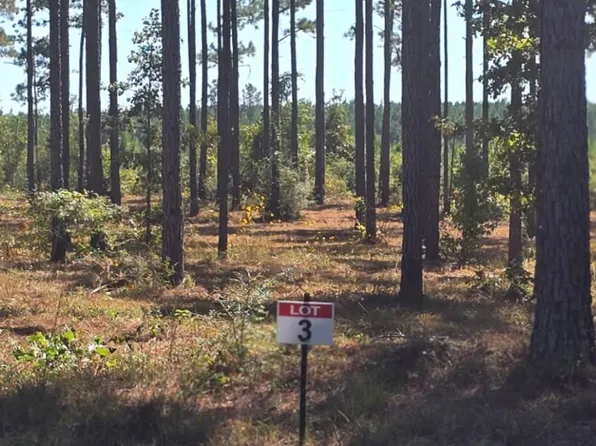 3 Army Recreation Rd, Florien, LA 71429