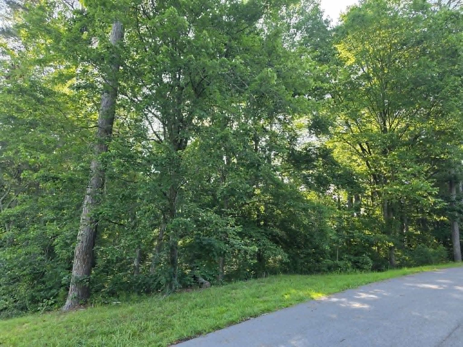 LOT 8 Quail Run Dr