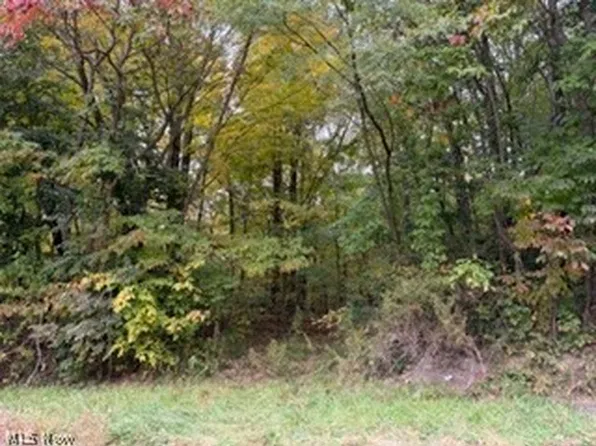 37806 Butcher Rd, Leetonia, OH 44431