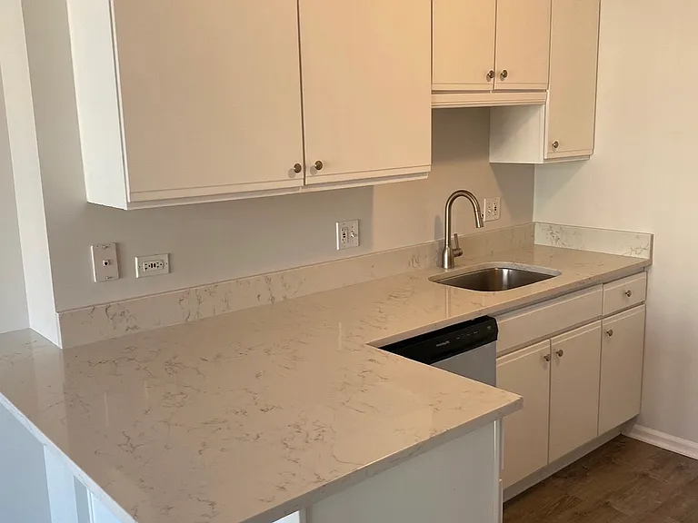 600 N Dearborn St #1305 — Photo 10