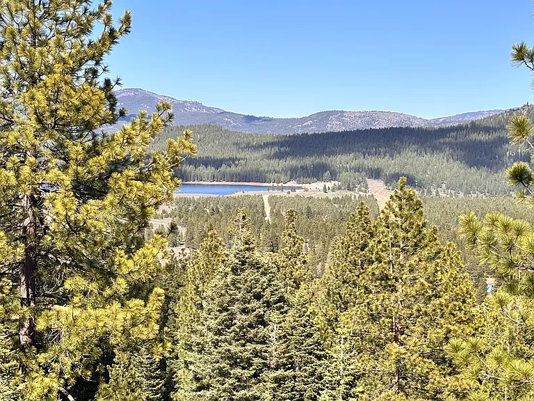 10580 Whitetail Ct — Photo 14