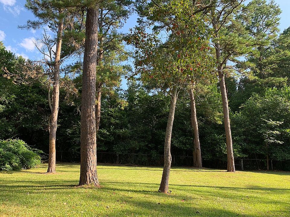 Partial backyard view