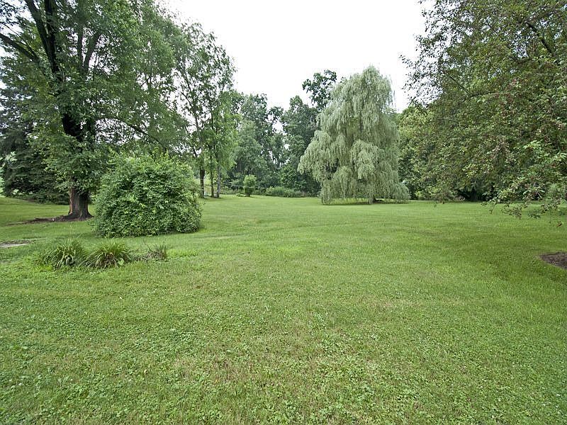 park-like level back yard