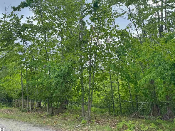 7241 Snow Goose Cir, Gaylord, MI 49735