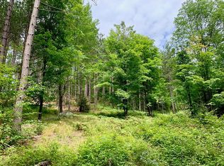 Pine Knolls Rd, Owls Head, NY 12969