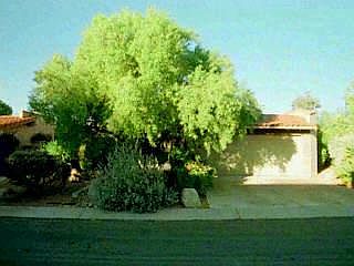 1st image of 7981 N Sendero Uno #0