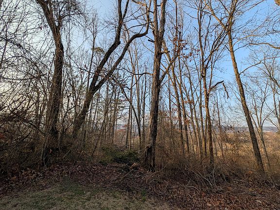 5th image of 0 Pine Breeze Cir Lot 7