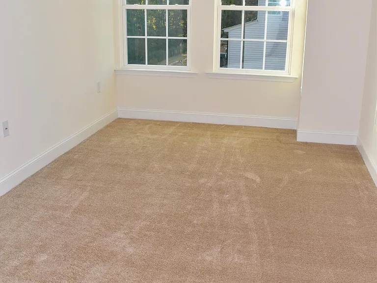 1509 Scholar Dr — Photo 14