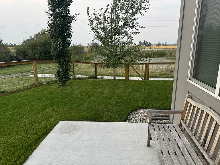 Back yard from from the back door