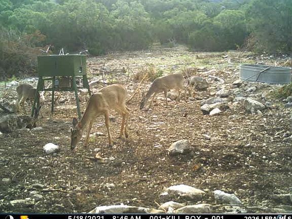 4th image of 752 SD 46061