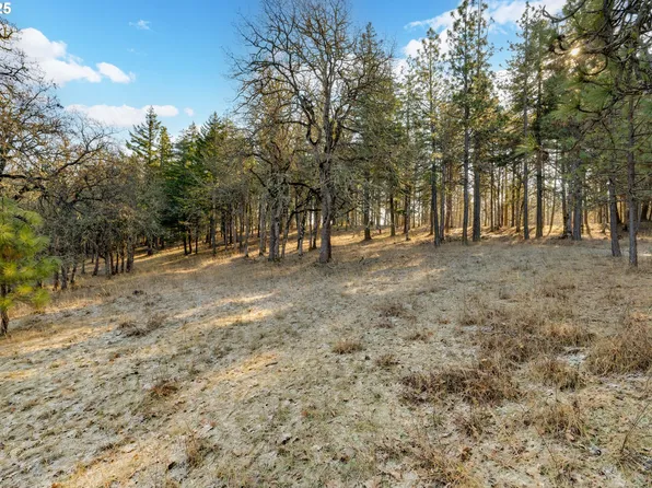 2110 Dundas Way, Mosier, OR 97040