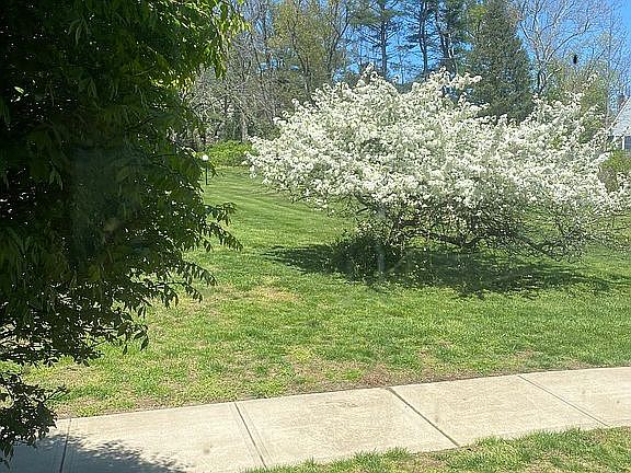 4th image of 112 Manchester Ct