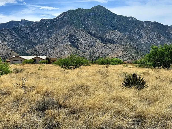 Lot 54 E Molly Drive #54, Hereford, AZ 85615