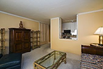 Living Room - Kitchen