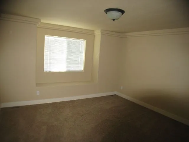 3650 Gunsmoke Rd — Photo 11