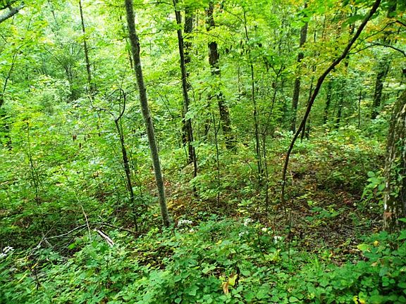 5th image of LOT28 Re Maple Ln #Lot28