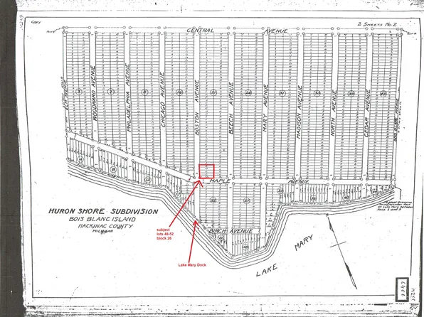 4852 Beech & Maple Ave, Pointe Aux Pins, MI 49775