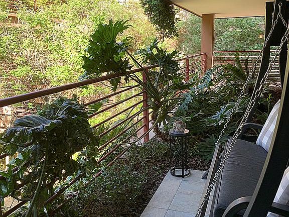 Patio and swing